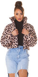 Nylonová krátka zimná bunda LEO Leopard
